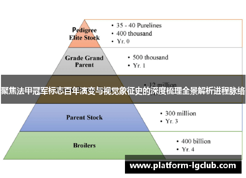 聚焦法甲冠军标志百年演变与视觉象征史的深度梳理全景解析进程脉络